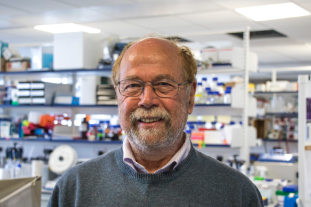 Distinguished Scientific Achievement Award for Professor Roland Wolf